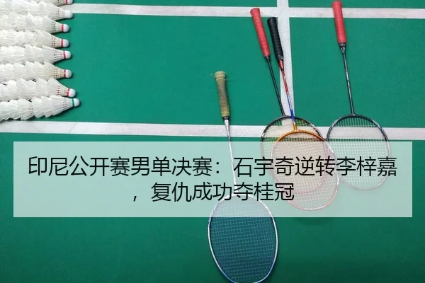 yin-ni-gong-kai-sai-nan-dan-jue-sai-shi-yu-qi-ni-zhuan-li-zi-jia-fu-chou-cheng-gong-duo-gui-guan-2-509.jpg